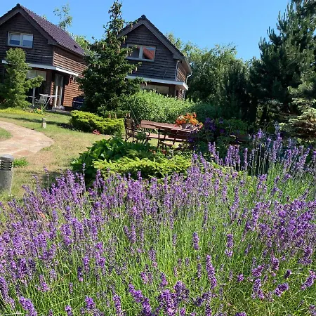 Sekret Dom I * וובה